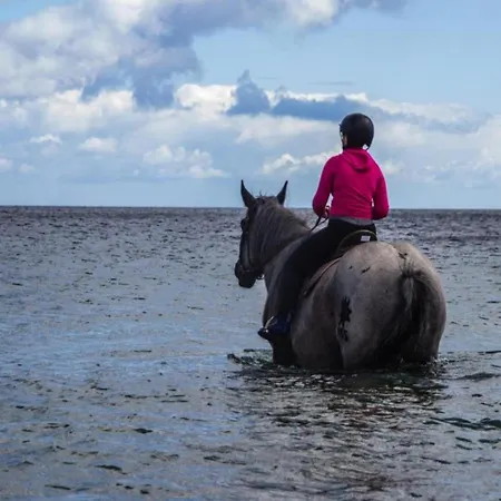 Coastal Escape On Fehmarn Island アパート *